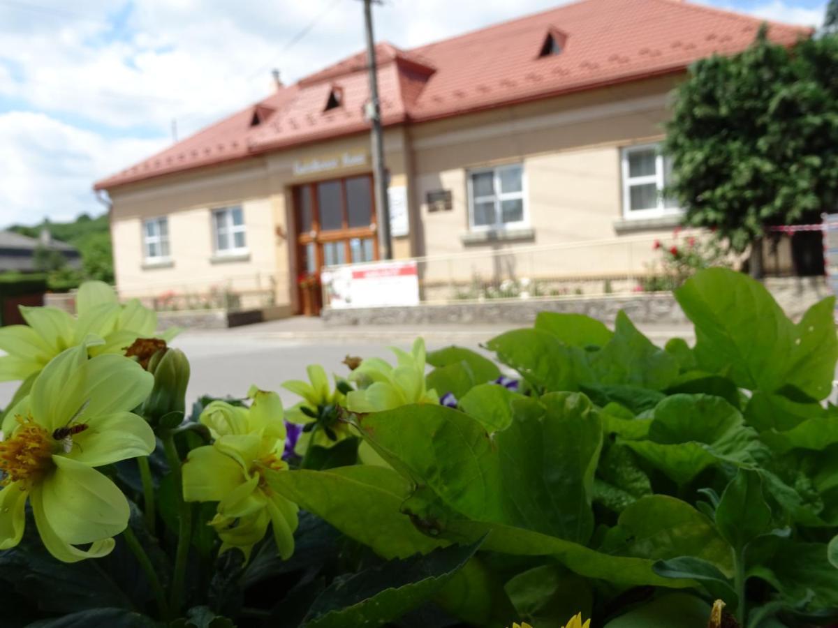 Guesthouse Ilona Velky Kamenec Exterior foto